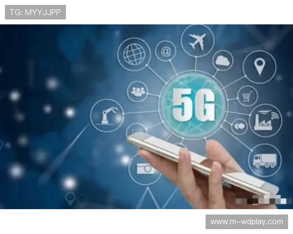 舍甫琴科距离控制与精准反击，低扫与摔技组合构建体系